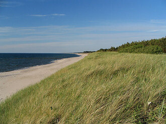 Morska plaża w Dąbkach