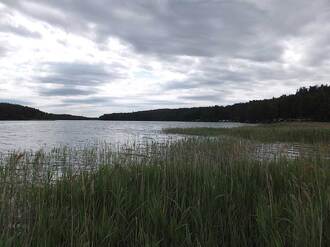 Kłączno. Jezioro Kłączno